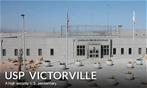 Uncover Hidden Truths: a Comprehensive Guide to Autopsy Procedures